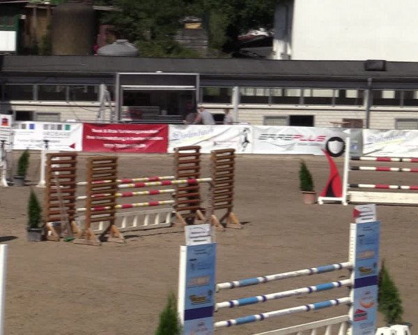 Reitturnier Siegen 2020