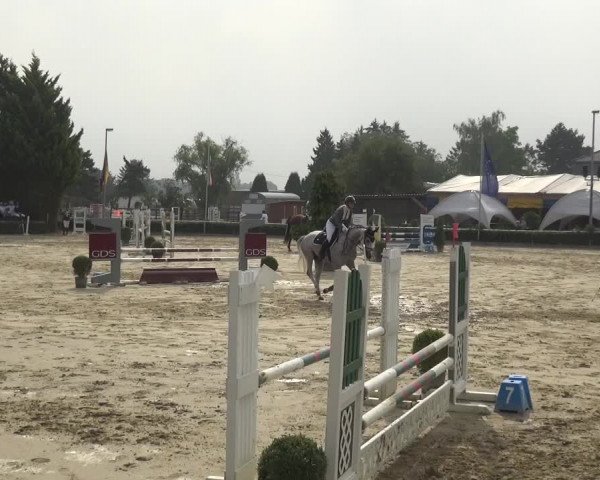 Reitturnier Bornheim-Widdig 2020