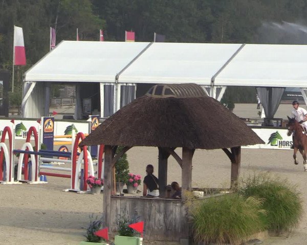 FEI Reitturnier Lier (BEL) 2020