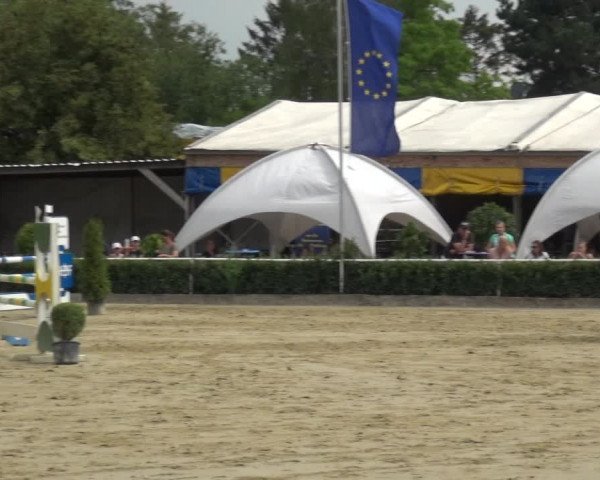 Reitturnier Bornheim-Widdig 2020