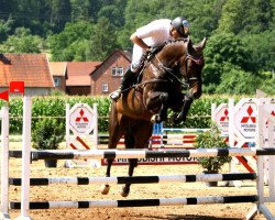 jumper Florenville (KWPN (Royal Dutch Sporthorse), 2010, from Corland)