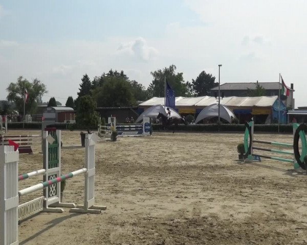 Reitturnier Bornheim-Widdig 2020