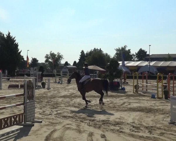 Reitturnier Bornheim-Widdig 2020