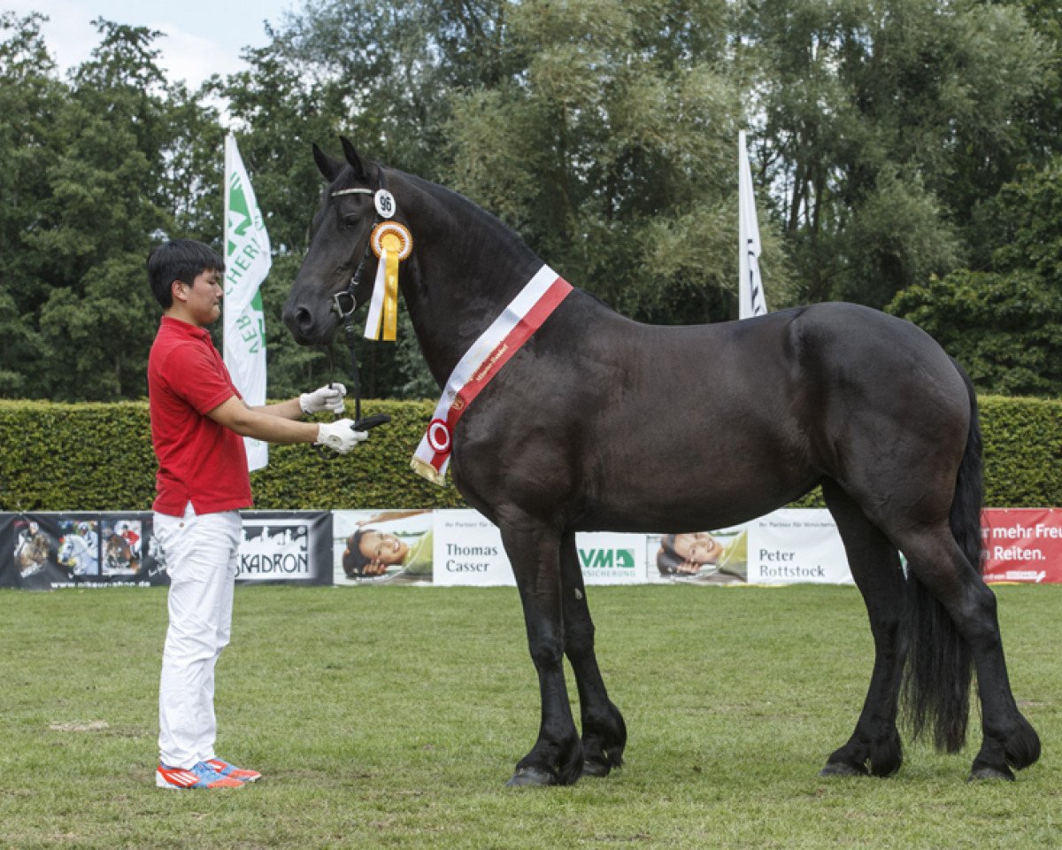 broodmare Meisje vom Vorst (Friese, 2011, from Moreeno)