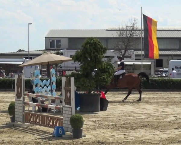 Reitturnier Bornheim-Widdig 2020