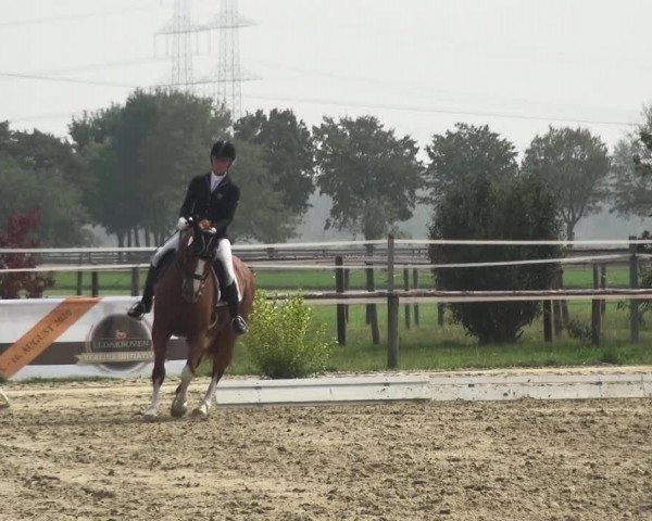 Reitturnier Kaarst-Holzbüttgen - Pannenbeckerhof 2020