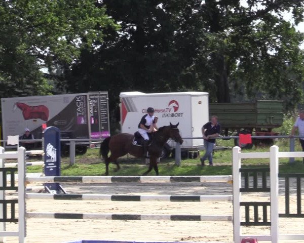 Reitturnier Datteln 2020