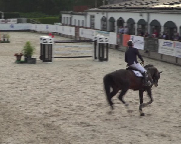 FEI Reitturnier Eschweiler (GER) 2020