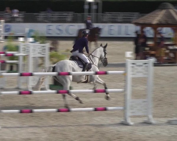 FEI Reitturnier Eschweiler (GER) 2020
