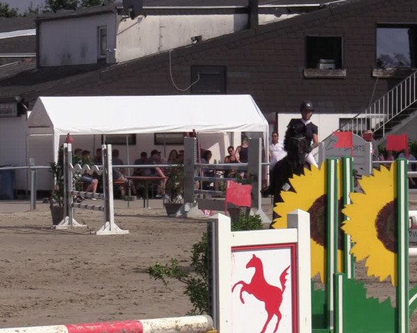 Reitturnier Datteln 2020