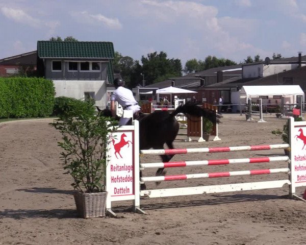 Reitturnier Datteln 2020