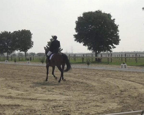 Reitturnier Kaarst-Holzbüttgen - Pannenbeckerhof 2020