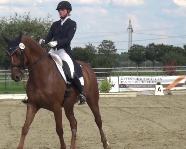 Reitturnier Kaarst-Holzbüttgen - Pannenbeckerhof 2020