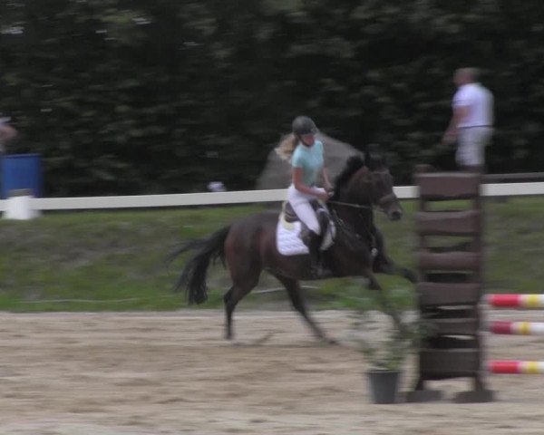 Reitturnier Pietzpuhl 2020