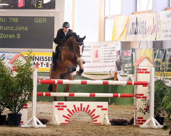 jumper Zoran (KWPN (Royal Dutch Sporthorse), 2004, from Hamlet)