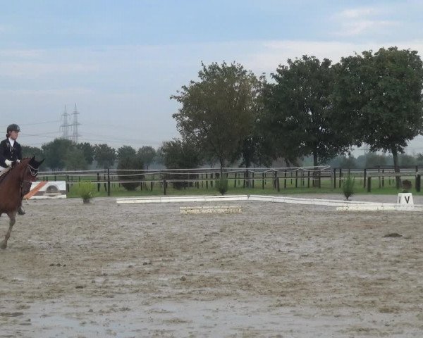 Reitturnier Kaarst-Holzbüttgen - Pannenbeckerhof 2020