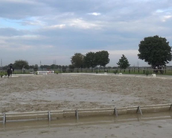 Reitturnier Kaarst-Holzbüttgen - Pannenbeckerhof 2020