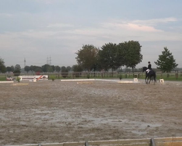 Reitturnier Kaarst-Holzbüttgen - Pannenbeckerhof 2020
