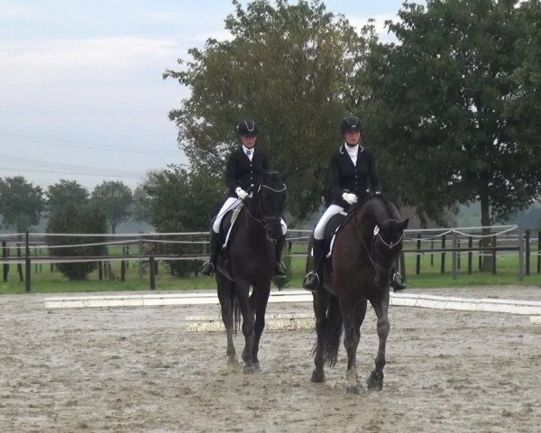 Reitturnier Kaarst-Holzbüttgen - Pannenbeckerhof 2020