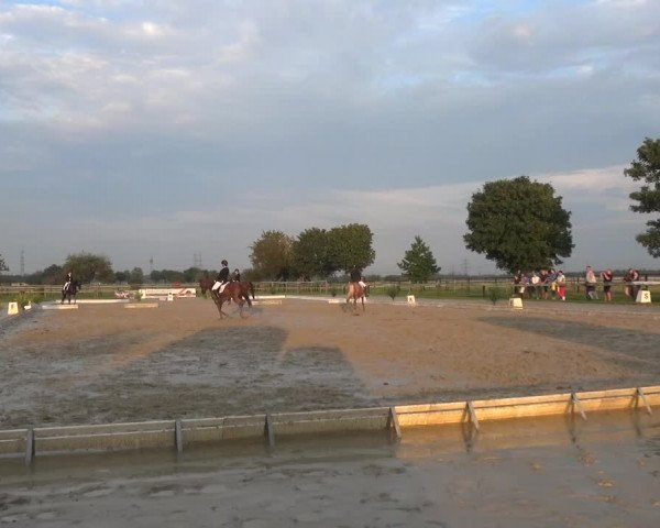 Reitturnier Kaarst-Holzbüttgen - Pannenbeckerhof 2020