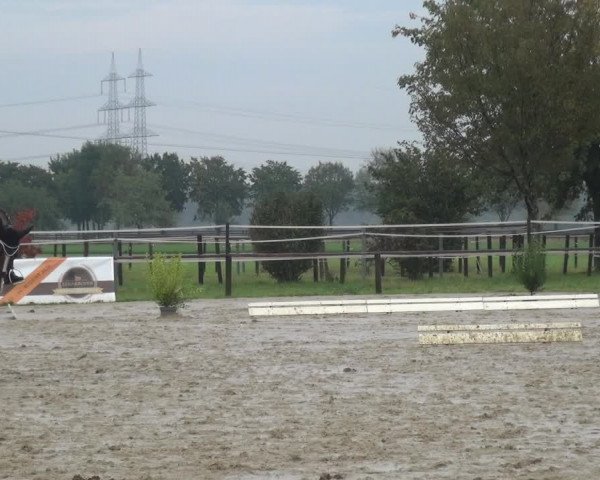 Reitturnier Kaarst-Holzbüttgen - Pannenbeckerhof 2020