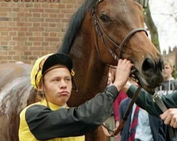 stallion Colon xx (Thoroughbred, 1989, from Acatenango xx)