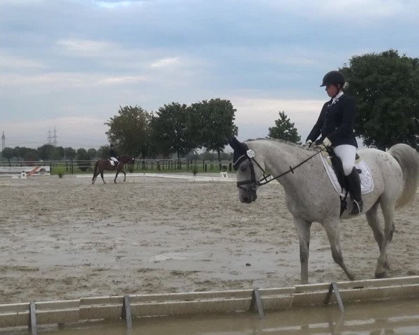 Reitturnier Kaarst-Holzbüttgen - Pannenbeckerhof 2020