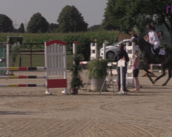 Reitturnier Marl, Reitanlage Rohmann 2020