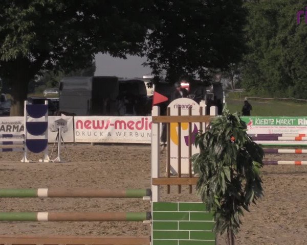 Reitturnier Marl, Reitanlage Rohmann 2020