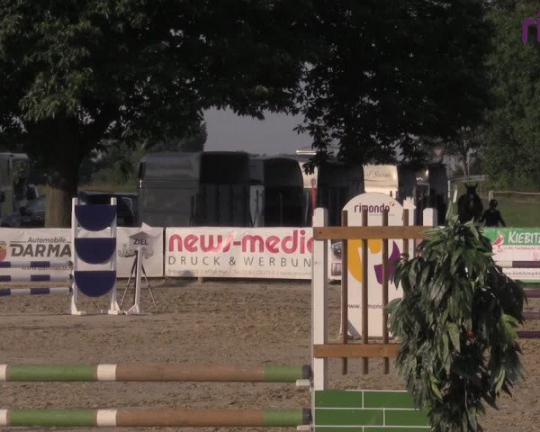 Reitturnier Marl, Reitanlage Rohmann 2020