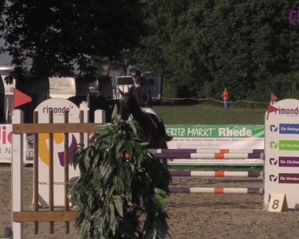 Reitturnier Marl, Reitanlage Rohmann 2020