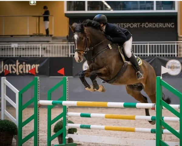 Springpferd Carlsson S (Westfale, 2009, von Cornado NRW)