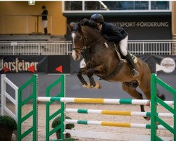 jumper Carlsson S (Westphalian, 2009, from Cornado NRW)