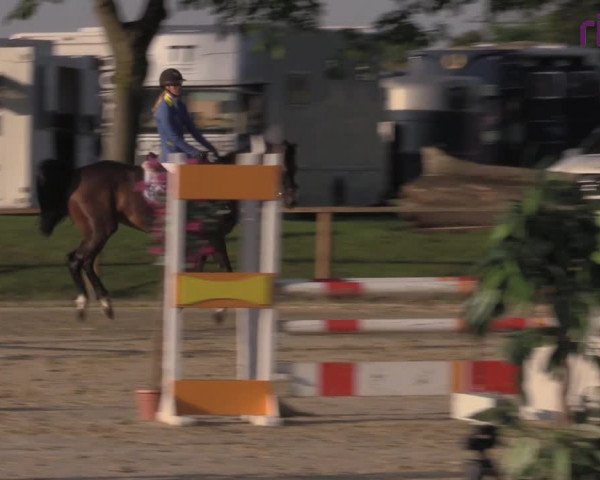 Reitturnier Marl, Reitanlage Rohmann 2020