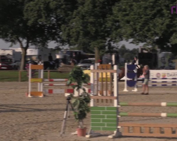 Reitturnier Marl, Reitanlage Rohmann 2020