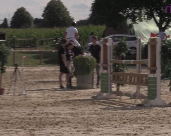 Reitturnier Marl, Reitanlage Rohmann 2020