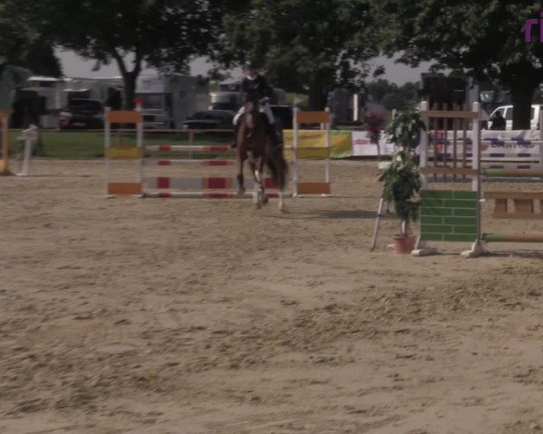 Reitturnier Marl, Reitanlage Rohmann 2020