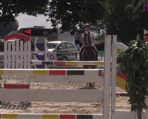 Reitturnier Marl, Reitanlage Rohmann 2020