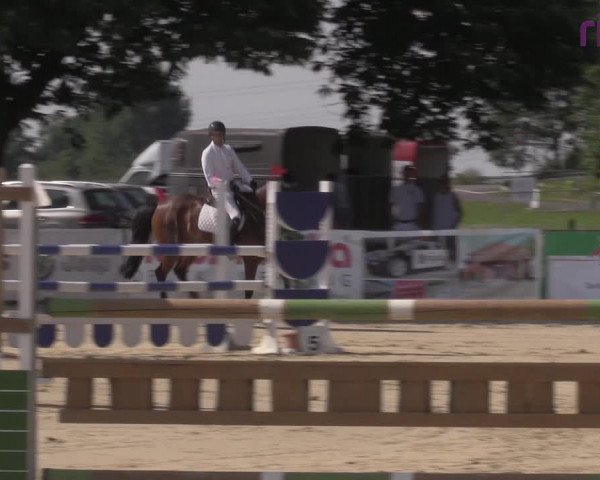 Reitturnier Marl, Reitanlage Rohmann 2020