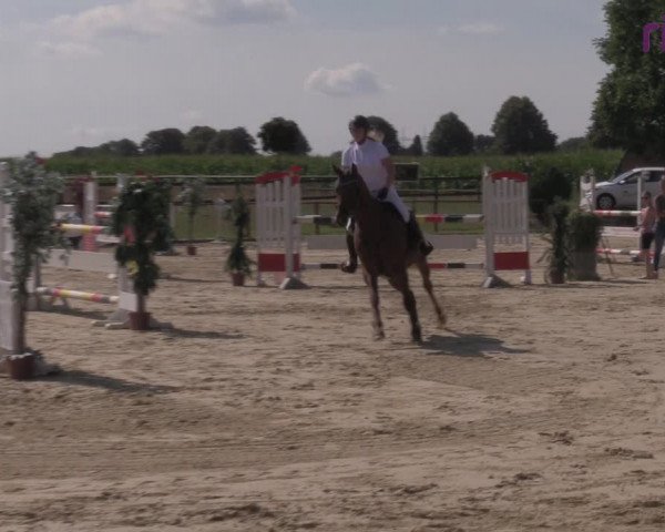 Reitturnier Marl, Reitanlage Rohmann 2020