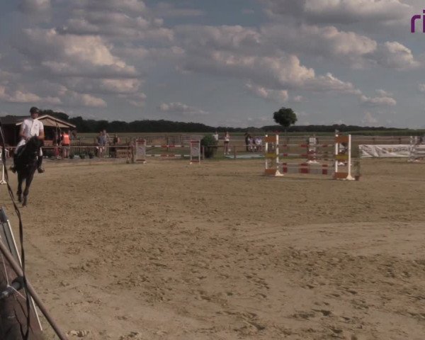Reitturnier Marl, Reitanlage Rohmann 2020