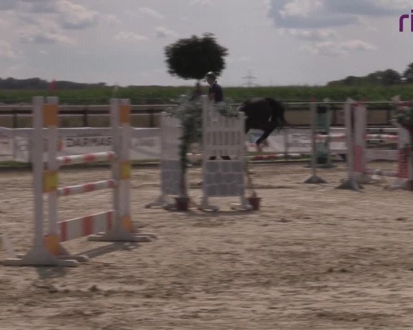 Reitturnier Marl, Reitanlage Rohmann 2020