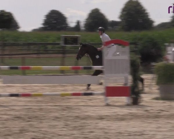 Reitturnier Marl, Reitanlage Rohmann 2020