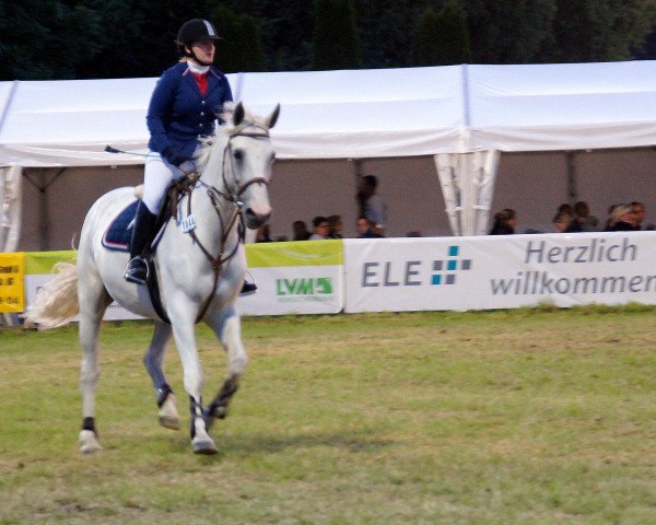 jumper Scarlett 368 (Polish Warmblood, 2000)