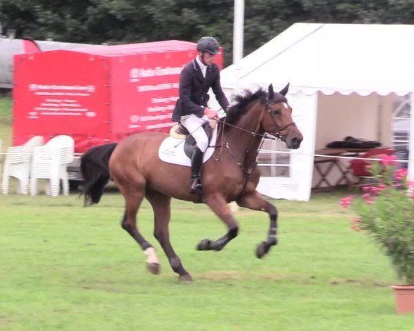Reitturnier Hanerau-Hademarschen 2020