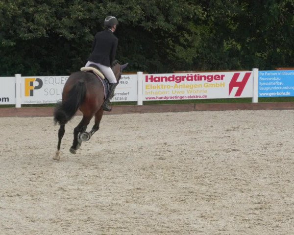 Reitturnier Öpfingen 2020