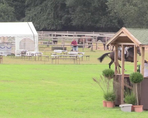 Reitturnier Hanerau-Hademarschen 2020