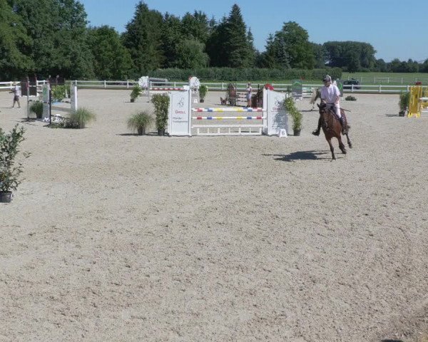 Reitturnier Öpfingen 2020
