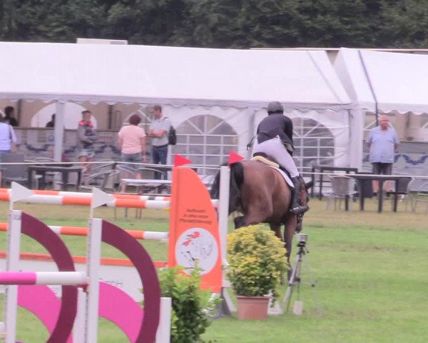 Reitturnier Hanerau-Hademarschen 2020