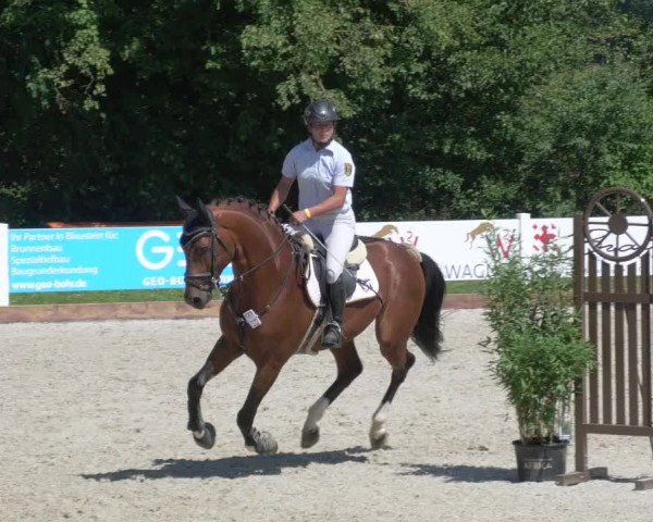 Reitturnier Öpfingen 2020